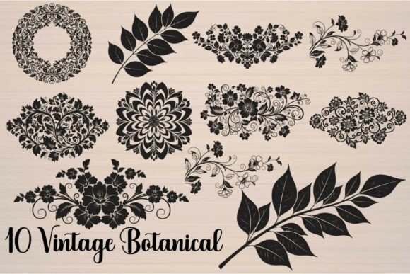 Vintage Botanical: Timeless, Tactile, and Thoughtfully Designed